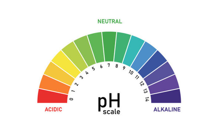 Equilibrio acido-base – pH