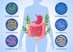Il microbiota intestinale: la guida completa — copertina articolo
